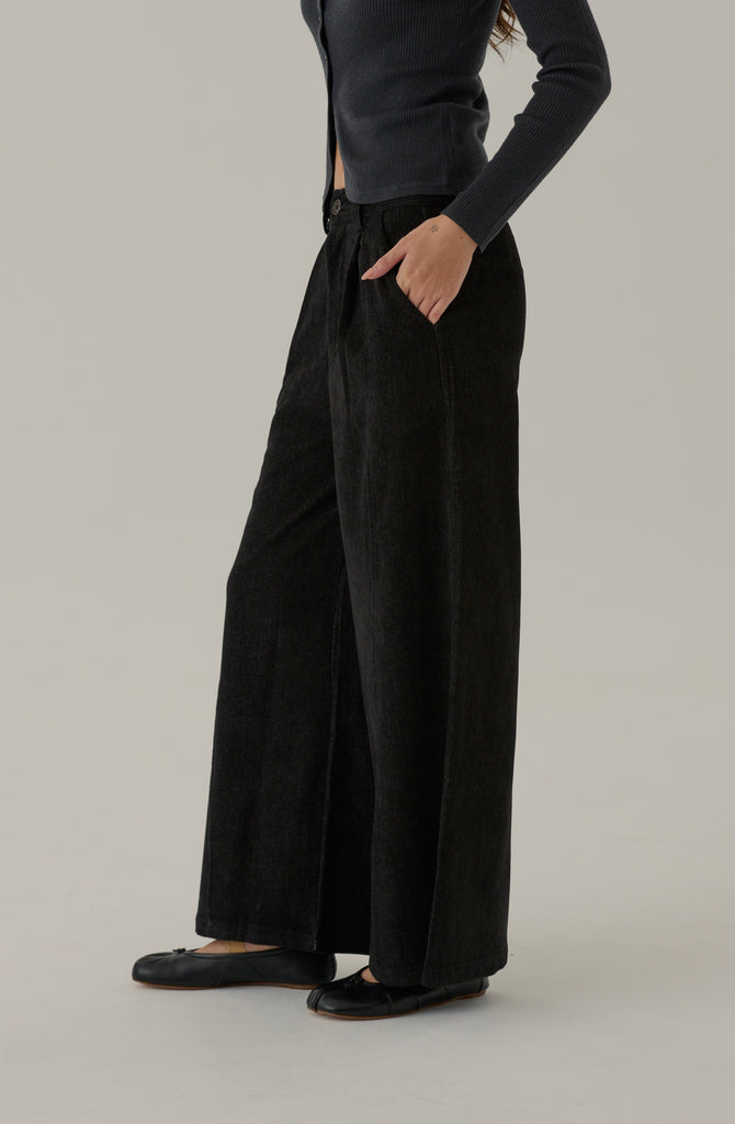 Mystery of love velvet pants