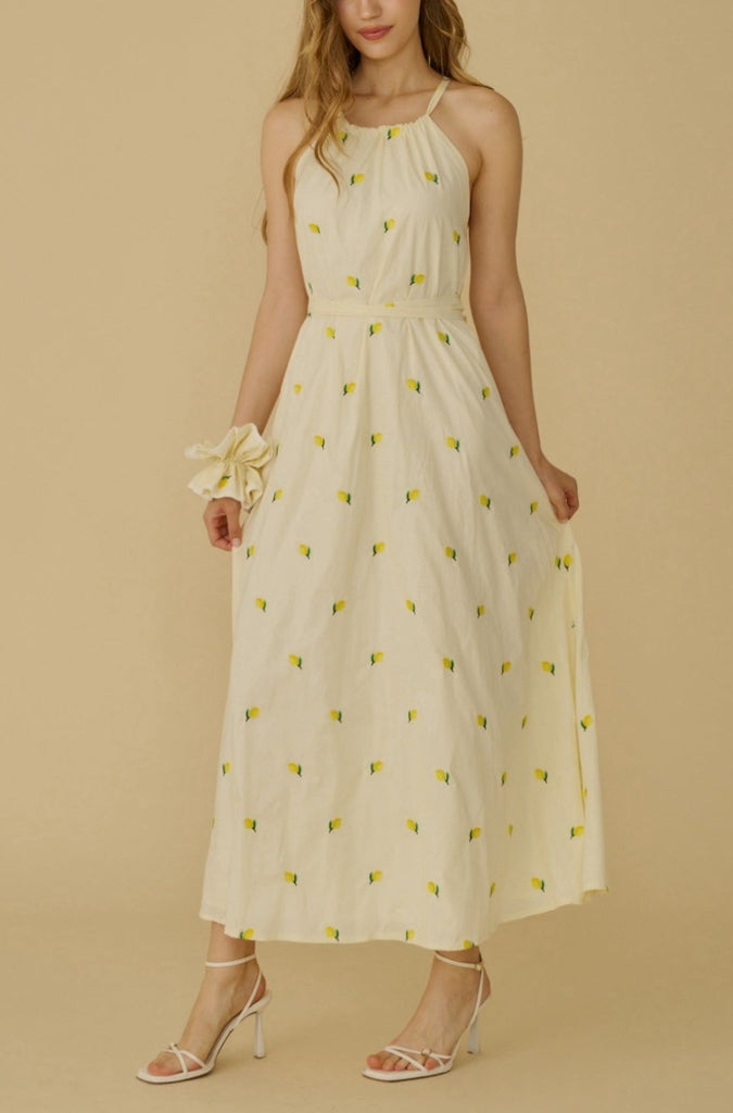Menton lemon embroidery tutu maxi dress