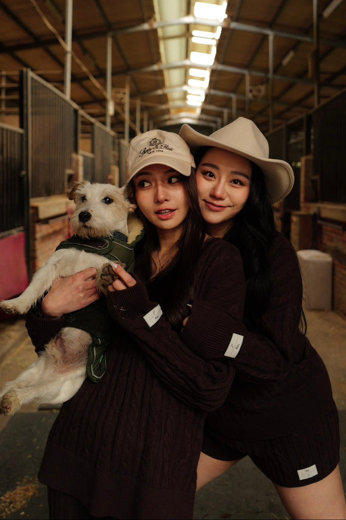 Hearth Cable knit Top in Brown